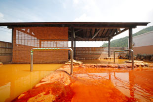 白寿の湯（埼玉県児玉郡）