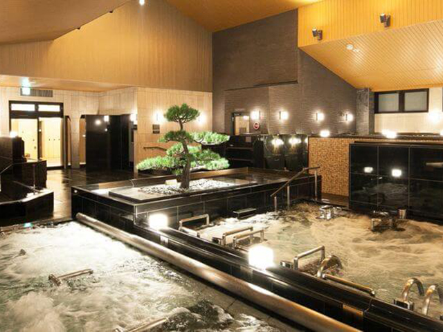 綱島源泉 湯けむりの庄（ゆけむりのしょう）