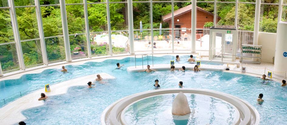 ベストオブ カップル賞：バーデと天然温泉 豊島園 庭の湯（東京都）