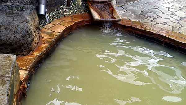 前野原温泉 さやの湯処（東京都板橋区）