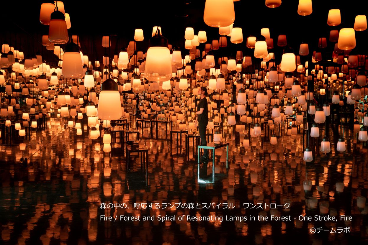 森の中の、呼応するランプの森とスパイラル - ワンストローク、夏の森