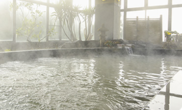 佐賀・川上峡温泉 ホテル龍登園