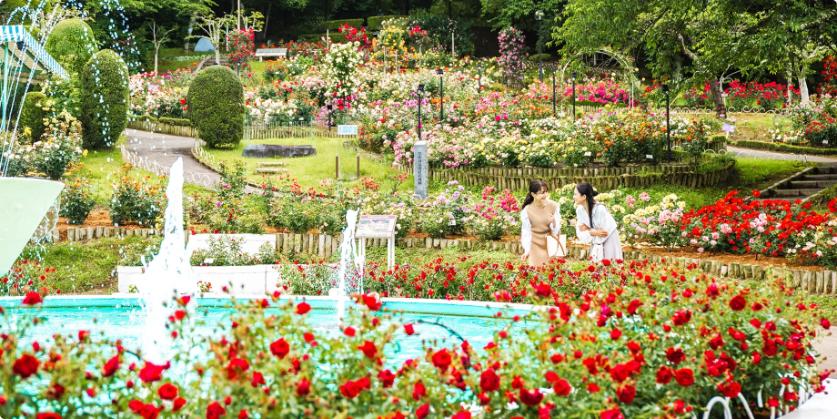 花巻温泉バラ園