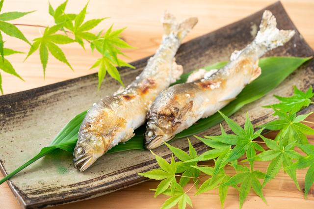 湯平温泉でのグルメスポット