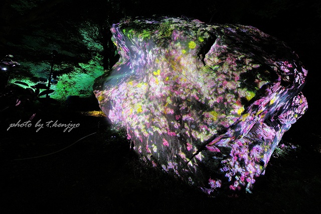 増殖する生命の巨石