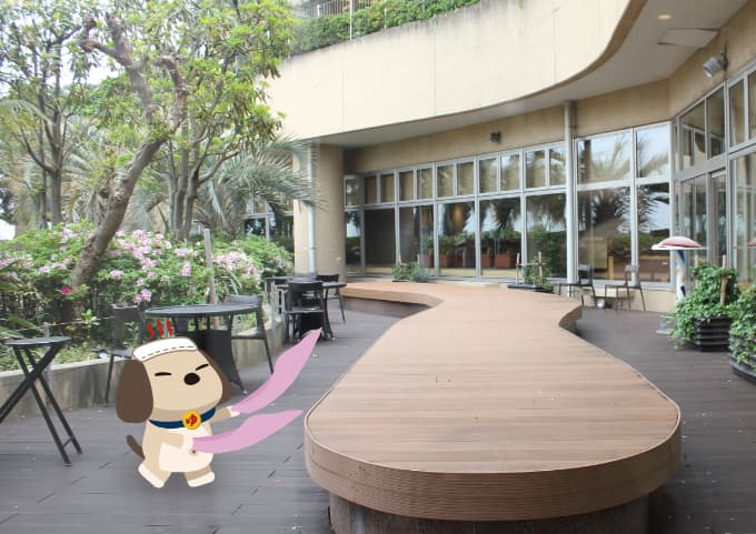 タオルを回すユーラシわん