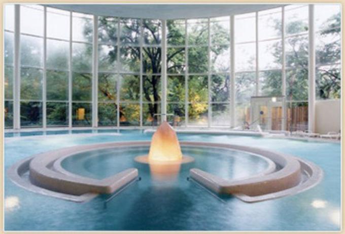 バーデと天然温泉 豊島園 庭の湯(練馬区)