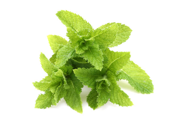 8月:薄荷湯(ハッカ湯)