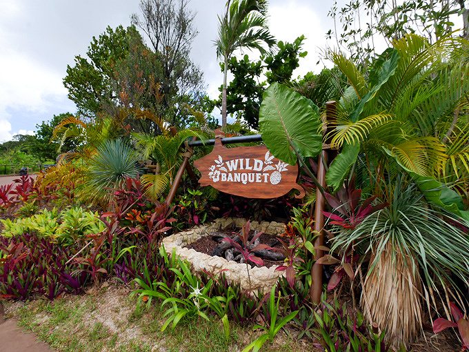 ワイルドバンケット