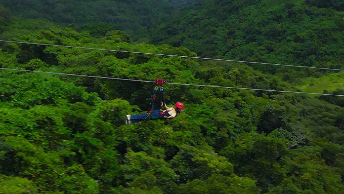 スカイフェニックス