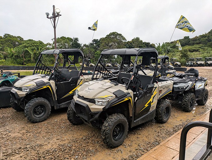 バギーボルテージ