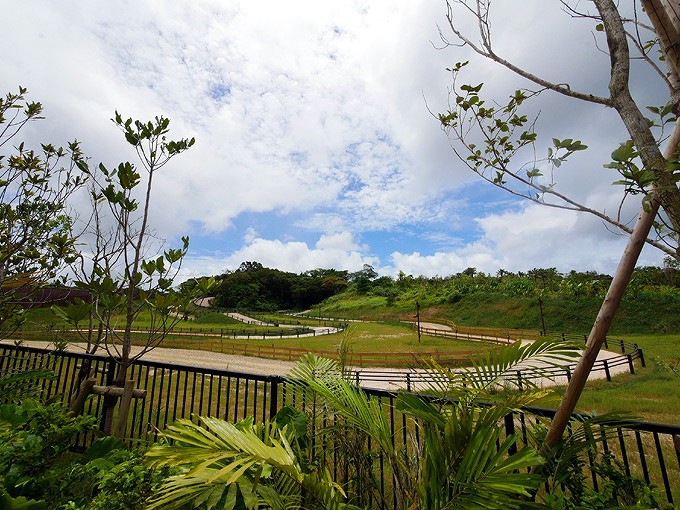 バギーボルテージコース