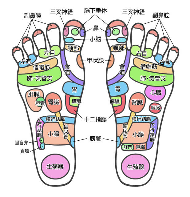 足つぼの「痛い場所」と体の不調の関係