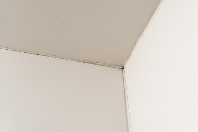 自宅にミストサウナに導入した場合のデメリット3つ