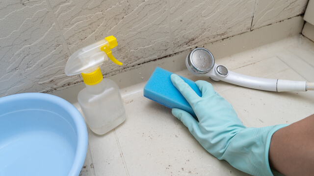 毎日のお風呂掃除ルーティン【簡単5分】