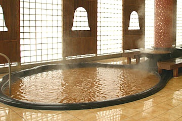 有馬温泉 太閤の湯 / 兵庫県