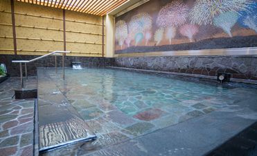 新宿天然温泉 テルマー湯/新宿区