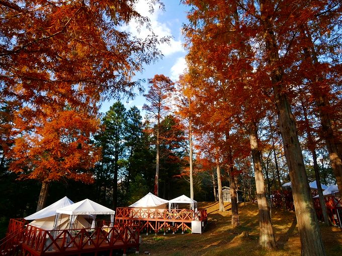 グランピングテント