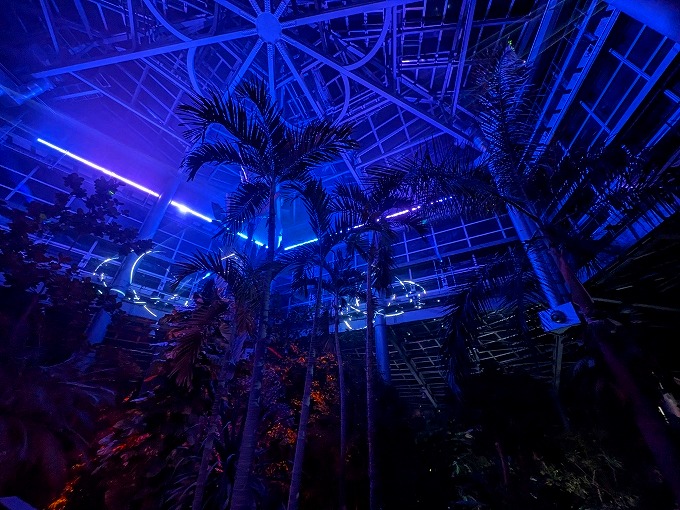 ライトアップショー