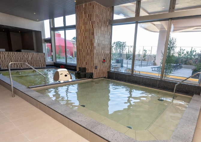 女性内風呂_炭酸泉