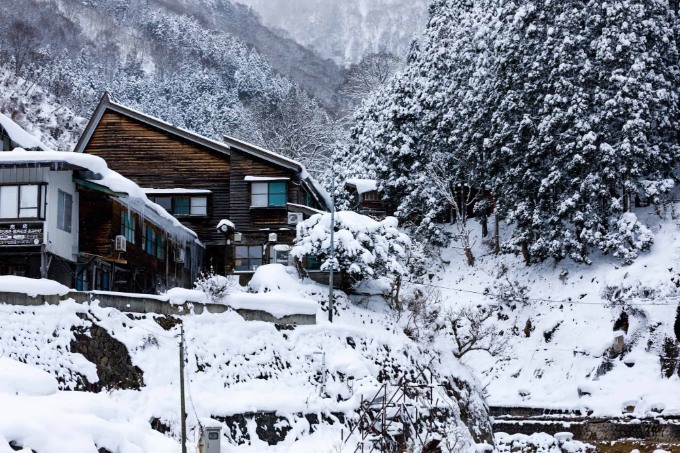 地獄谷野猿公苑とは？魅力と見どころを紹介