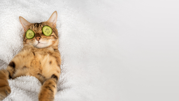 この冬、温浴施設で過ごす時間のよさをあらためて実感