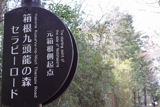 箱根九頭龍の森セラピーロード