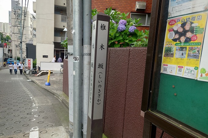 椎木坂