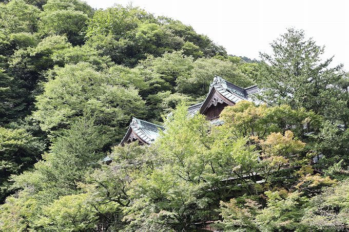 早川越しに見る元湯 環翠楼