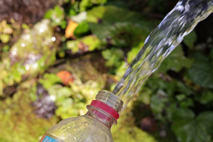 甘露水